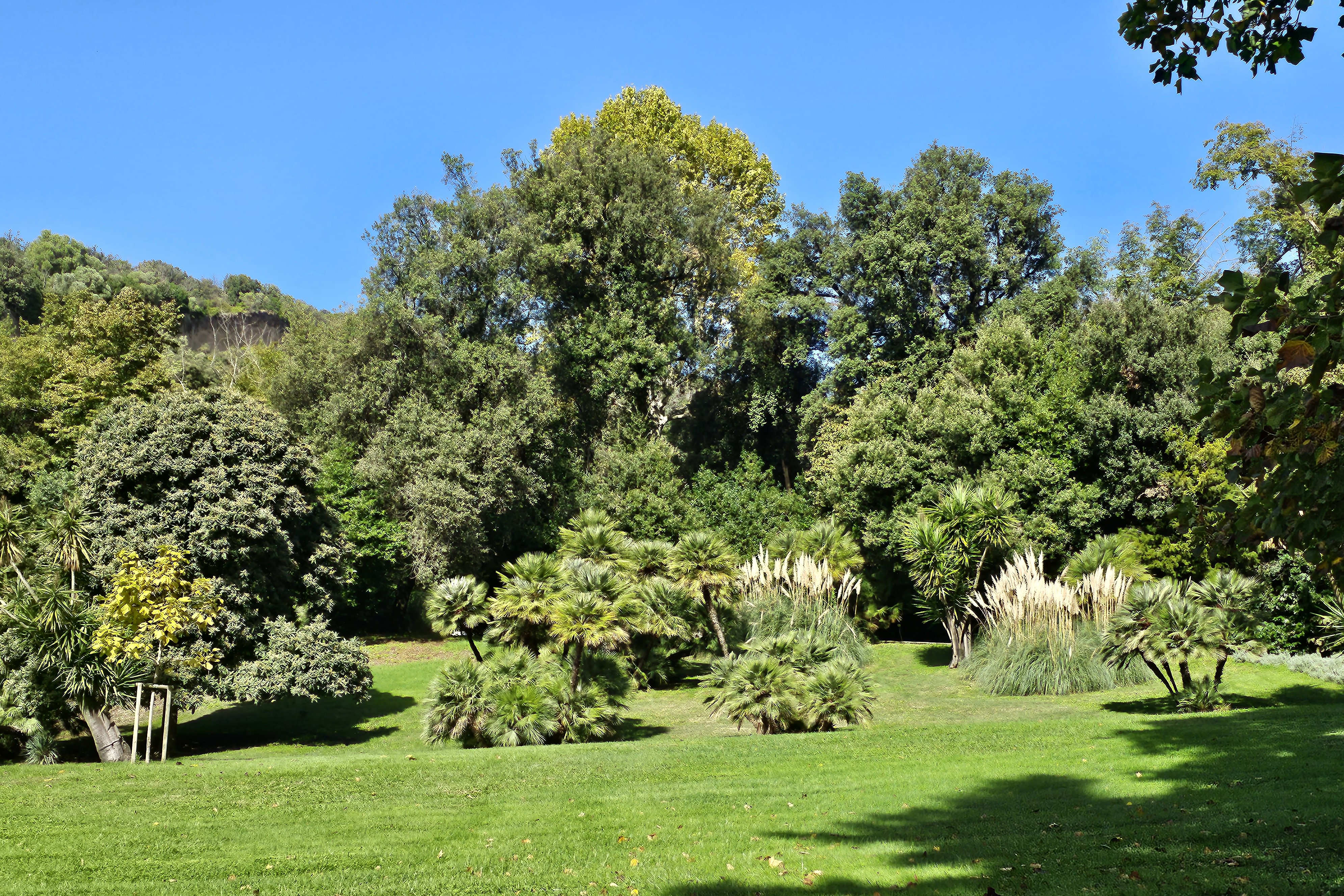 English Garden
